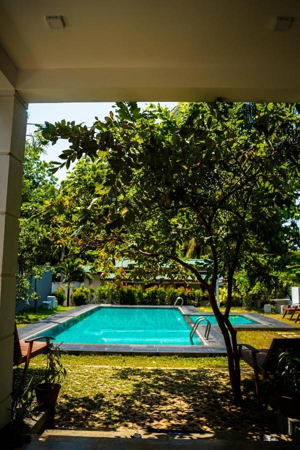 Sigiri Sierra View Resort Σιγκιρίγια Εξωτερικό φωτογραφία