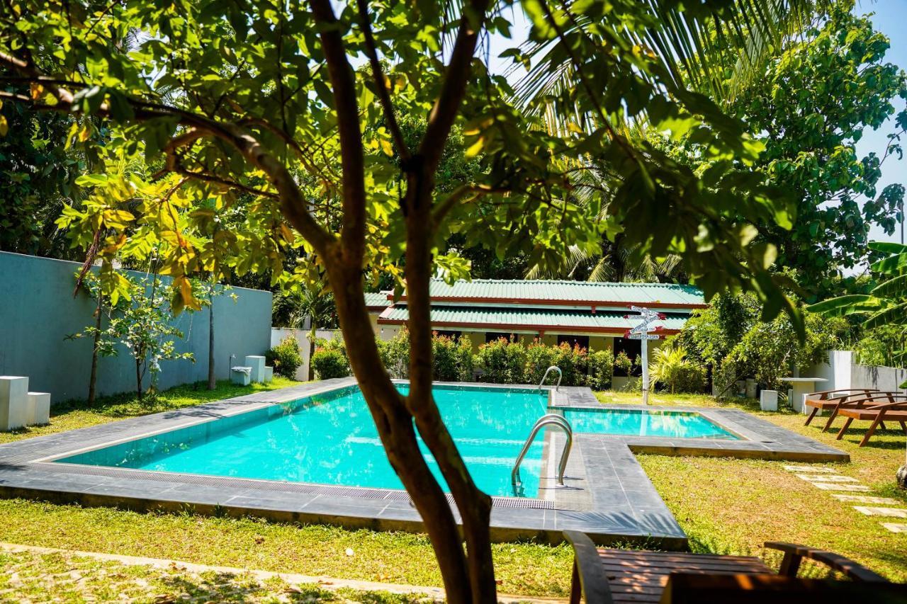 Sigiri Sierra View Resort Σιγκιρίγια Εξωτερικό φωτογραφία