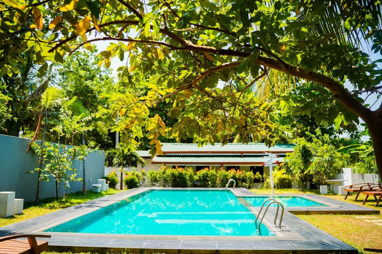 Sigiri Sierra View Resort Σιγκιρίγια Εξωτερικό φωτογραφία